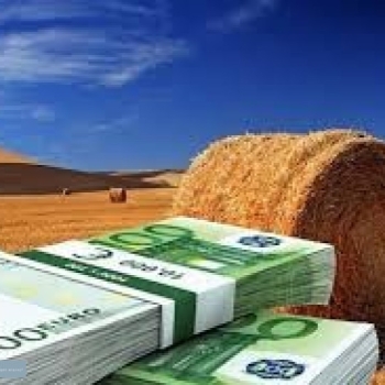 Get A Business Loan Today
