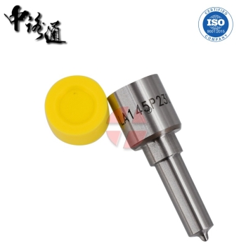 Automotive nozzles DLLA147P2445