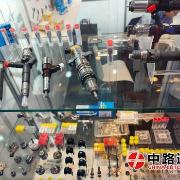 Common Rail Fuel Injector Nozzle D535 Diesel Injector Nozzles W079
